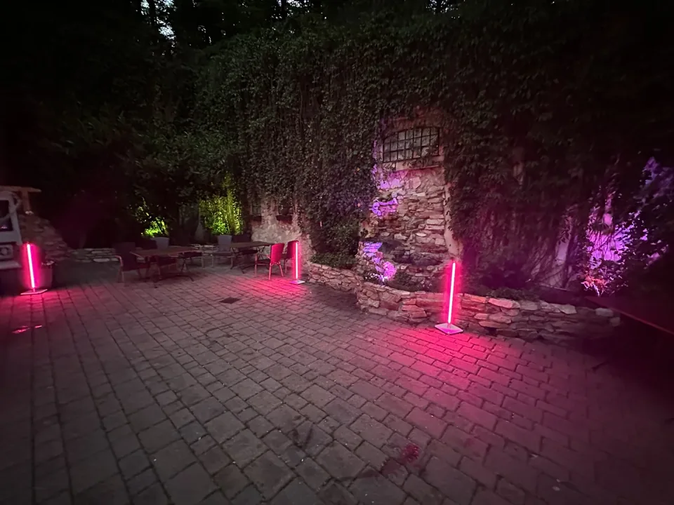 Bäume mit pinker Ambientebeleuchtung im Garten